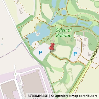 Mappa Via Ponti della Selva, 03018 Paliano, Frosinone (Lazio)