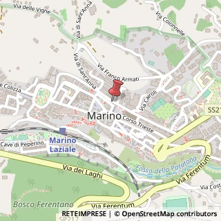 Mappa Via Francesco D'Ovidio, 6/E, 00047 Marino, Roma (Lazio)