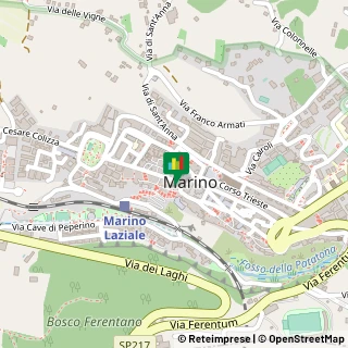 Via Cola di Rienzo, 4,00047Marino