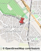 Viale della Repubblica, 56,00047Marino