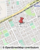 Via di Saponara, 155,00125Roma