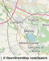 Istituti di Bellezza Albano Laziale,00041Roma