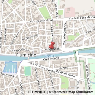 Mappa Via della Torre Clementina, 80, 00054 Fiumicino, Roma (Lazio)
