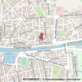 Mappa Via delle Sogliole, 9, 00054 Fiumicino, Roma (Lazio)