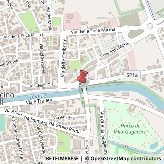 Mappa Largo dei Delfini, 5, 00054 Fiumicino, Roma (Lazio)