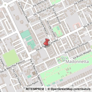 Mappa Via Arturo Viligiardi, 95, 00125 Roma, Roma (Lazio)
