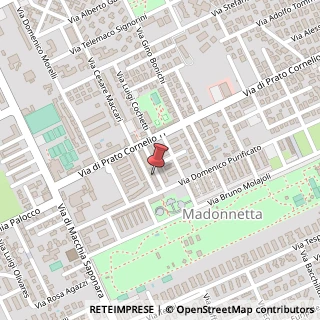 Mappa Via Cesare Maccari, 439, 00125 Roma, Roma (Lazio)