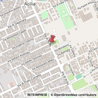 Mappa Via di Acilia, 172, 00125 Roma, Roma (Lazio)