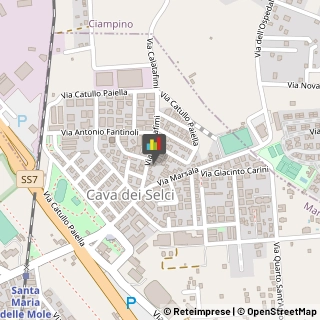 Fisiokinesiterapia - Medici Specialisti,00047Roma