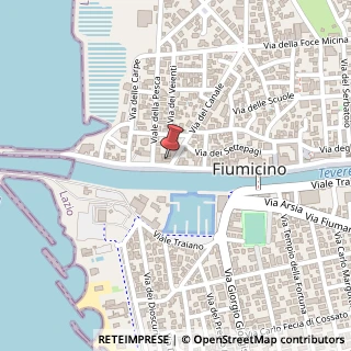 Mappa Via della Torre Clementina, 238, 00054 Fiumicino, Roma (Lazio)