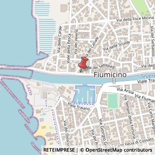 Mappa Via della Torre Clementina, 224, 00054 Fiumicino, Roma (Lazio)