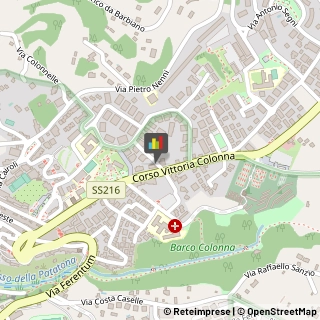 Fisiokinesiterapia - Medici Specialisti,00047Roma