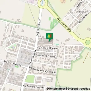 Via di Trigoria, 45,00128Roma