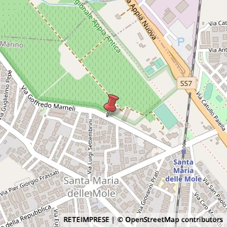 Mappa Via Goffredo Mameli,  41, 00041 Marino, Roma (Lazio)