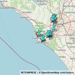 Mappa Via Pietro Artedi, 00054 Fiumicino RM, Italia (13.52059)