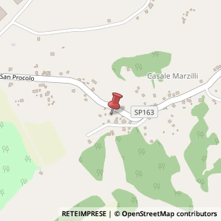 Mappa Via San Procolo, 165, 03018 Paliano, Frosinone (Lazio)