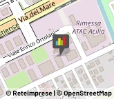 Nettezza Urbana - Servizio,00125Roma