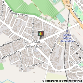 Agenzie ed Uffici Commerciali,00040Roma