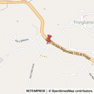 Mappa Strada Statale Per Fiuggi, 132, 03011 Trivigliano, Frosinone (Lazio)