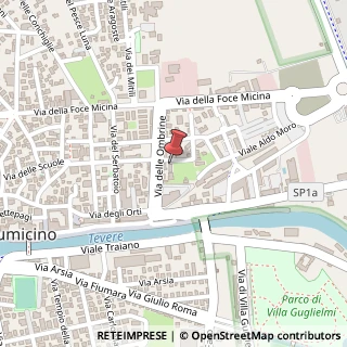 Mappa Via del Riccio di Mare, 14, 00054 Fiumicino, Roma (Lazio)