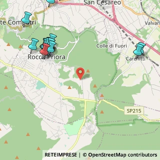 Mappa Via Carpinello, 00079 Rocca Priora RM, Italia (3.0065)