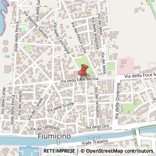 Mappa Via della Foce Micina, 57, 00054 Fiumicino, Roma (Lazio)