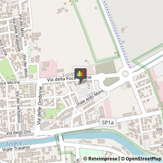 Trasporto Pubblico,00054Roma