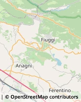 Autofficine e Centri Assistenza Trivigliano,03010Frosinone