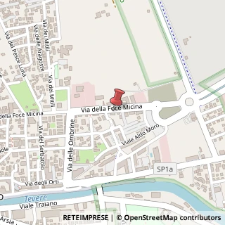 Mappa Via della Foce Micina, 9, 00054 Fiumicino, Roma (Lazio)