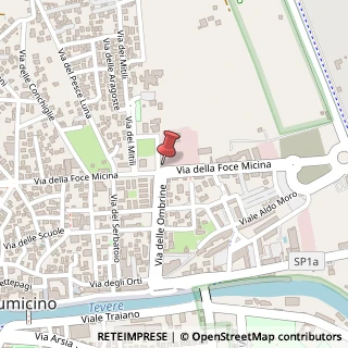 Mappa Via della Foce Micina, 30/a, 00054 Fiumicino, Roma (Lazio)
