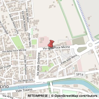 Mappa Via della Foce Micina, 19, 00054 Fiumicino RM, Italia, 00054 Fiumicino, Roma (Lazio)