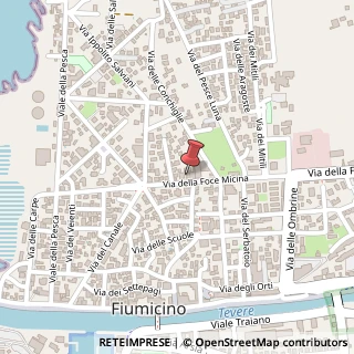 Mappa Via della Foce Micina, 72, 00054 Fiumicino, Roma (Lazio)