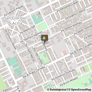 Logopedia,00125Roma