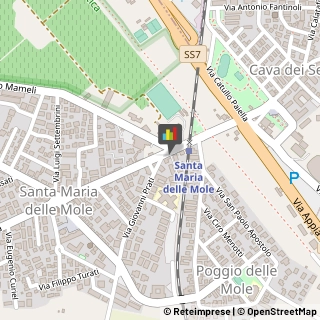 Fisiokinesiterapia - Medici Specialisti,00047Roma