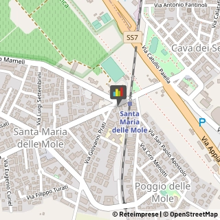 Fisiokinesiterapia - Medici Specialisti,00047Roma