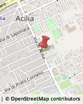 Via di Acilia, 172,00125Roma