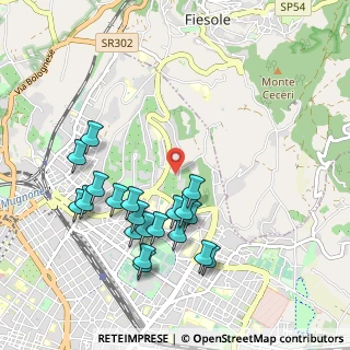 Mappa Via del Frullino, 50133 Firenze FI, Italia (1.0555)
