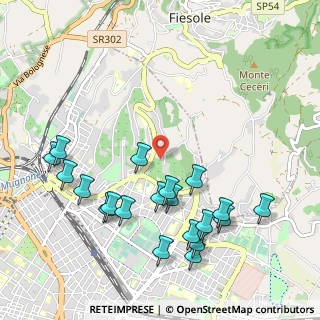Mappa Via del Frullino, 50133 Firenze FI, Italia (1.181)