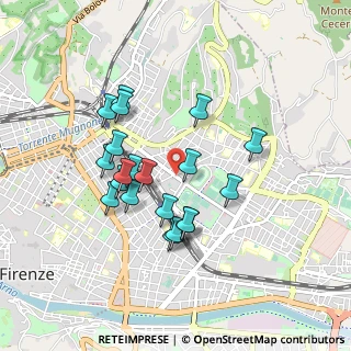 Mappa Viale dei Mille, 50137 Firenze FI, Italia (0.8075)