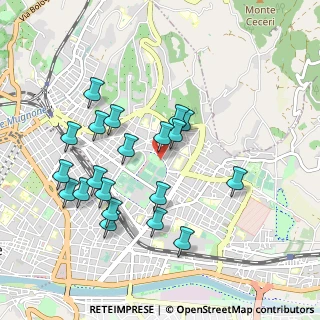 Mappa Giardini di Campo di Marte, 50137 Firenze FI, Italia (0.9555)