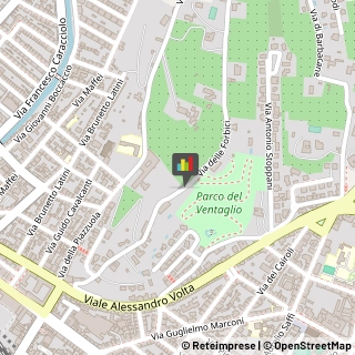 Collegi Firenze,50133Firenze