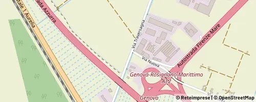 Mappa Vecchiano
