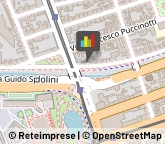 Baby Sitters - Servizio,50129Firenze