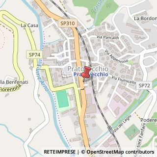 Mappa Via Circonvallazione, 31, 52015 Pratovecchio Stia, Arezzo (Toscana)