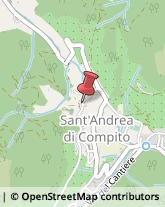 Via della Torre in Sant'Andrea di Compito, 16,55062Capannori