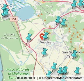 Mappa Via D'Ombra, 56019 Vecchiano PI, Italia (7.005)