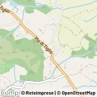 Carte Capannori