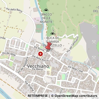 Mappa Via Roma, 30, 56019 Vecchiano, Pisa (Toscana)