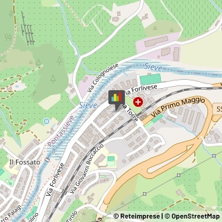 Veterinaria - Ambulatori e Laboratori Pelago,50060Firenze