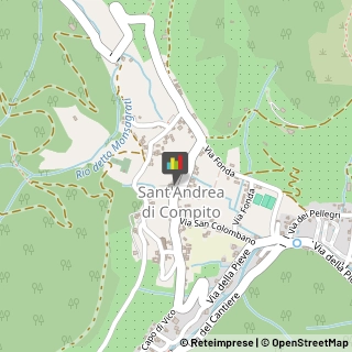 Lavori Agricoli e Forestali,55012Lucca